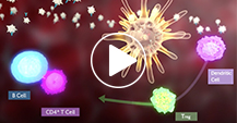 Mechanism of Action