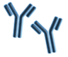 Anti-platelet antibody illustration