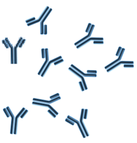 Anti-platelet antibodies